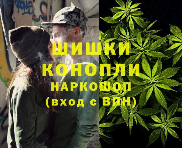 шишки Нягань
