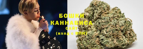 шишки Нягань