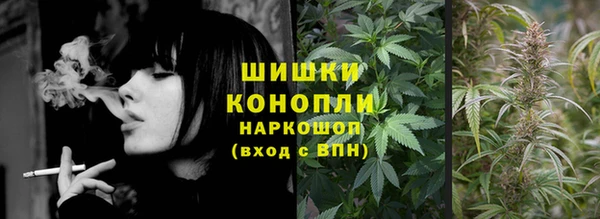 PSILOCYBIN Новодвинск