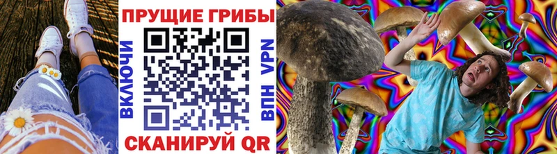 omg как войти  Барнаул  Галлюциногенные грибы Cubensis 