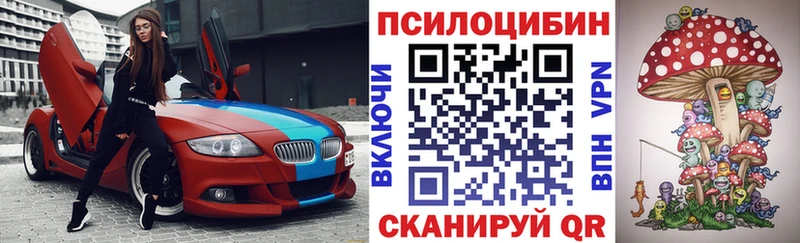 Псилоцибиновые грибы мицелий Барнаул