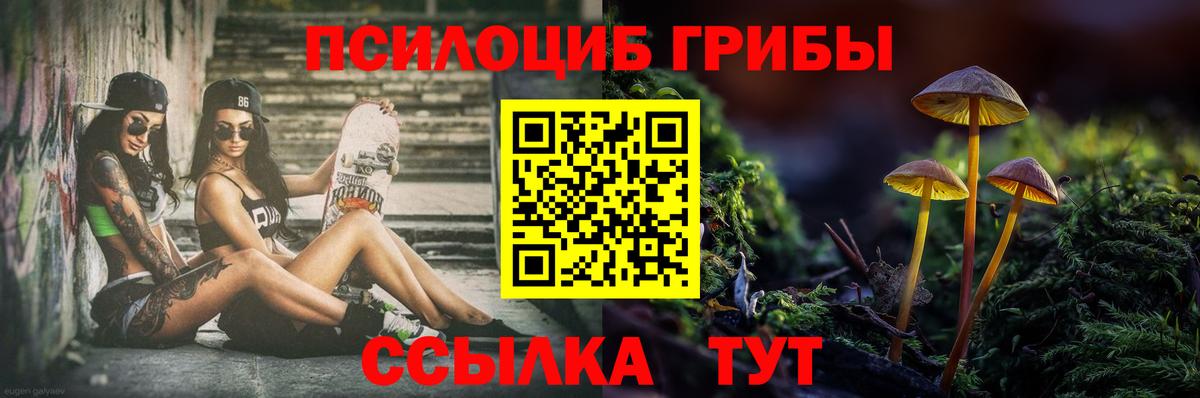 Псилоцибиновые грибы MAGIC MUSHROOMS  Псилоцибиновые грибы MAGIC MUSHROOMS  Барнаул  Вход с VPN 