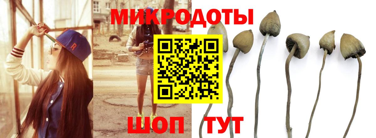 Галлюциногенные грибы мухоморы  Барнаул 